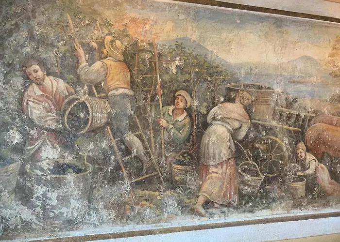 Pernice 77 *